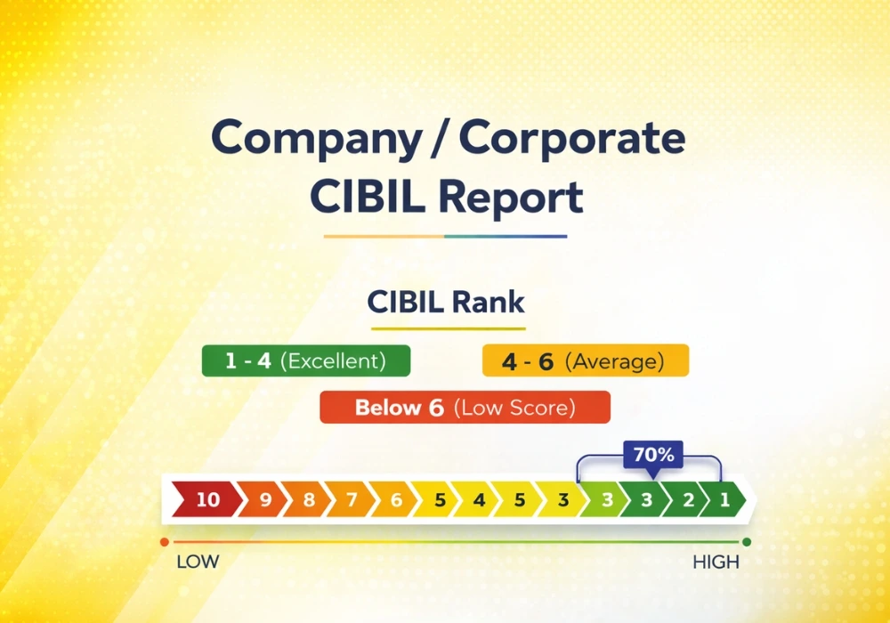 What is a Company / Corporate Credit Report?
