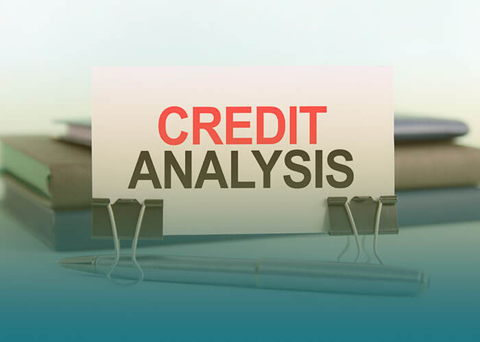 Analysis Credit Report