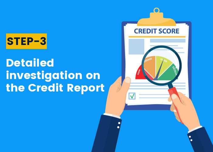 Detailed investigation on the Credit Report