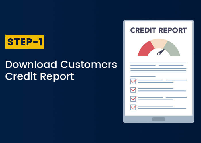 Download Customers Credit Report